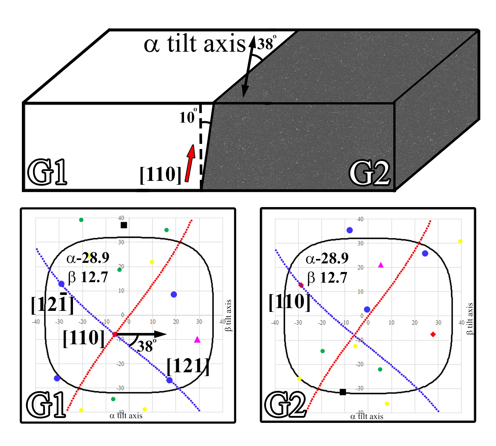 Schematics illustrating a protocol for determining the
grain boundary physical orientation relationship to the adjacent
crystalline grains. At α,β:0,0 the boundary is ~10° from an edge on
condition with the boundary oriented 38° from the α tilt axis. The
crystallographic solution for both grains is presented with an overlay
of the tilt orientations for tilting the boundary along (blue) and
against (red) the long axis of the boundary.